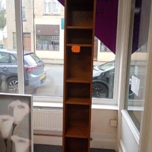 Modern Brown Shelving Unit